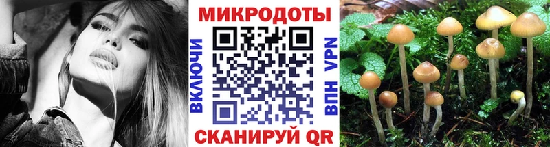 darknet какой сайт  Анива  Псилоцибиновые грибы ЛСД 